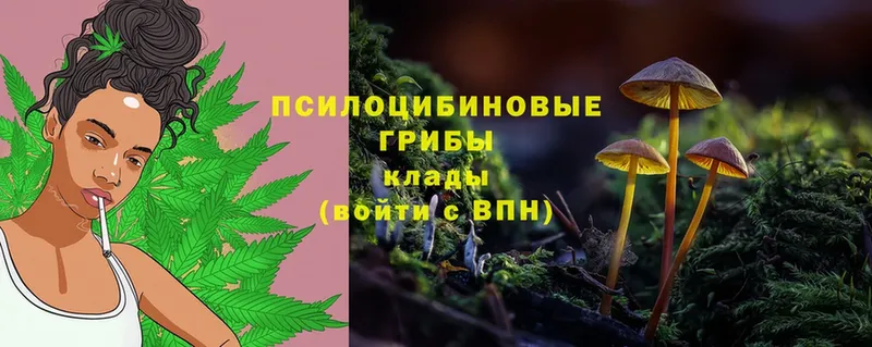 Псилоцибиновые грибы прущие грибы  как найти закладки  Исилькуль 